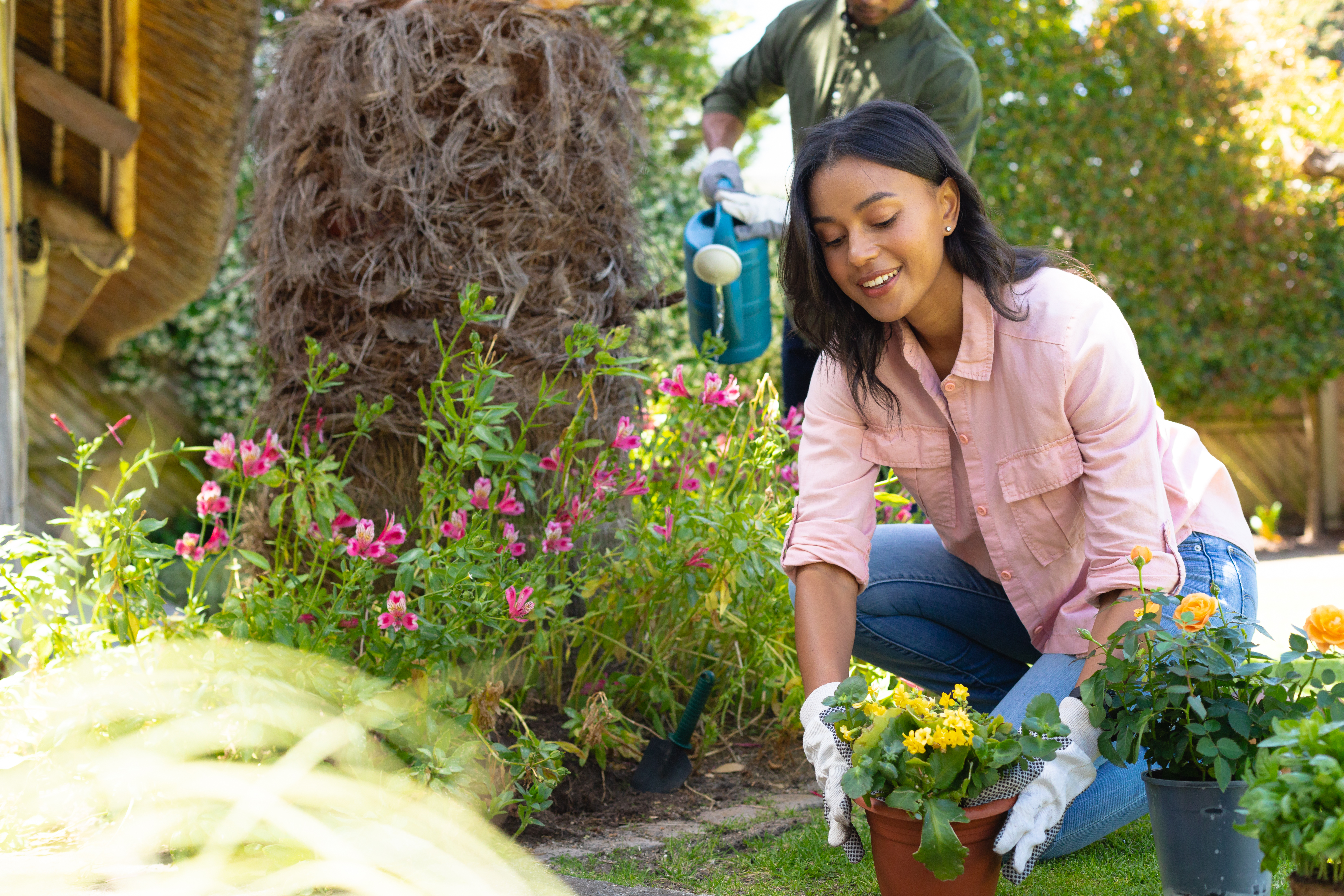 Garden and exterior maintenance