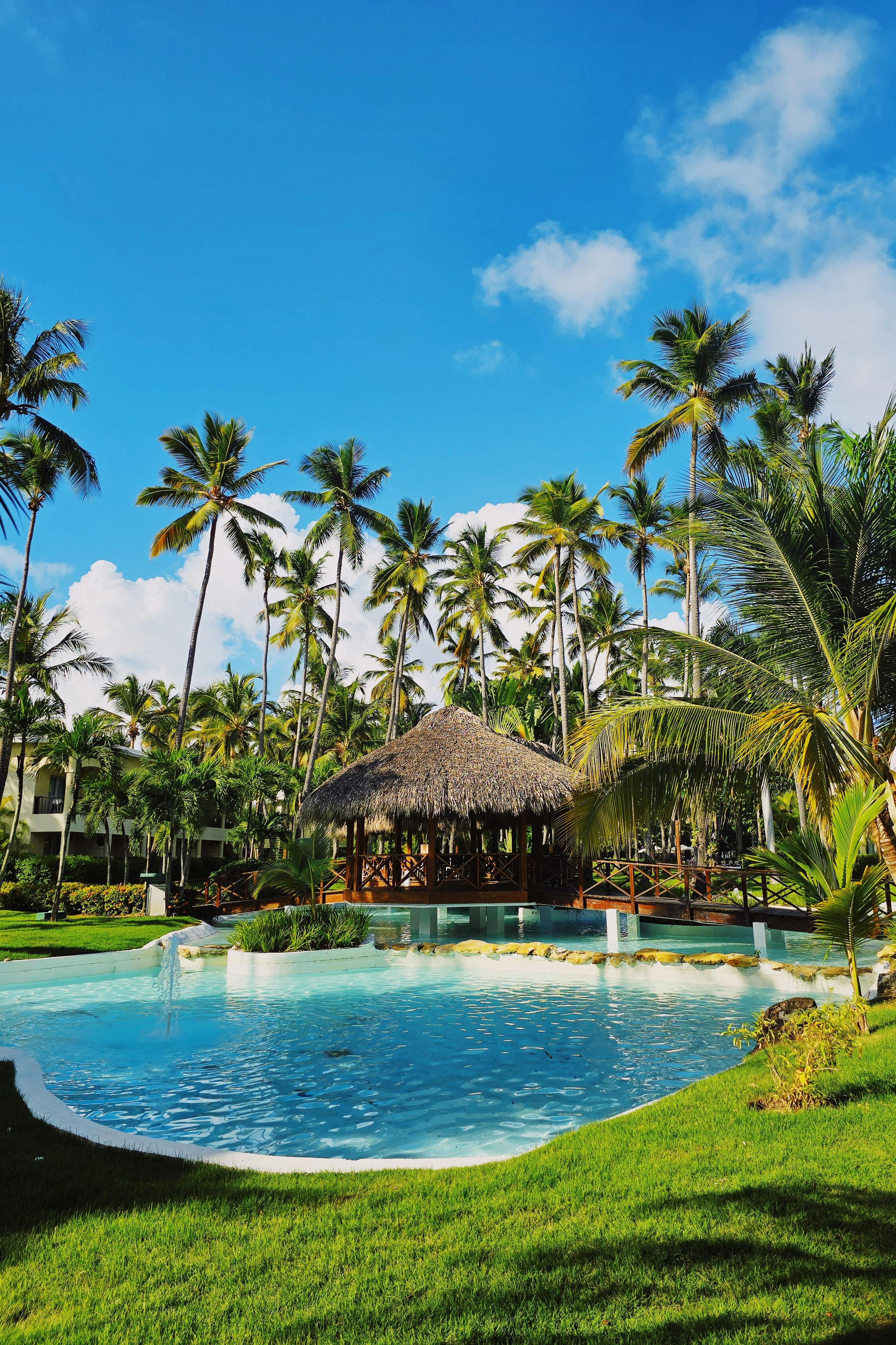 Tropical retreat in Las Terrenas